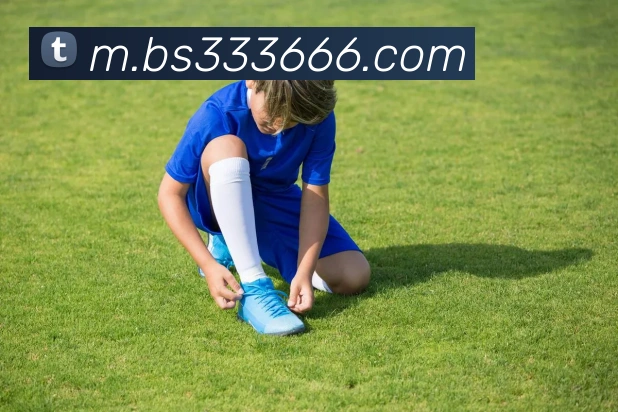 百胜彩票官网平台登录入口APP 封面图